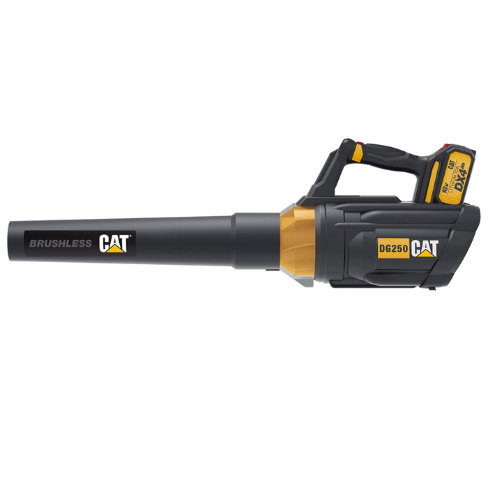 CAT SET ΦΥΣΗΤΗΡΑΣ ΜΠΑΤΑΡΙΑΣ Li-ion 18V 4.0Ah DG250
